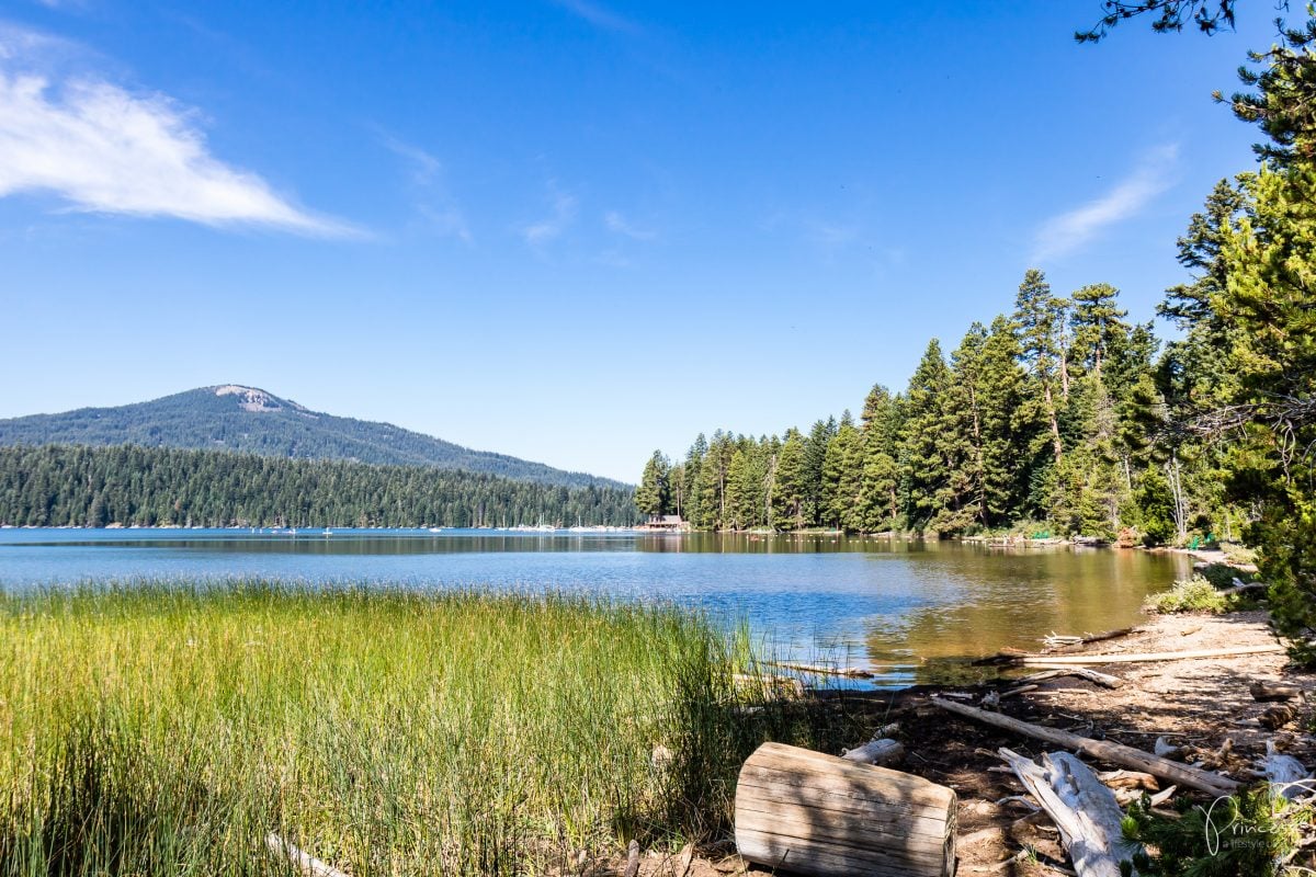 Roadtrip UPDATE: von Frisco nach Portland (mit Video)