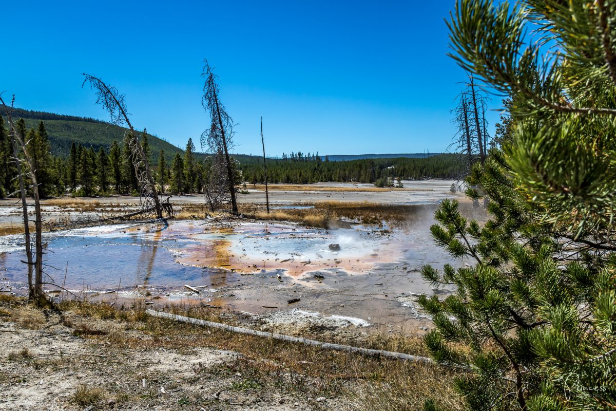 Roadtrip UPDATE: Yellowstone National Park und Las Vegas (mit Video)