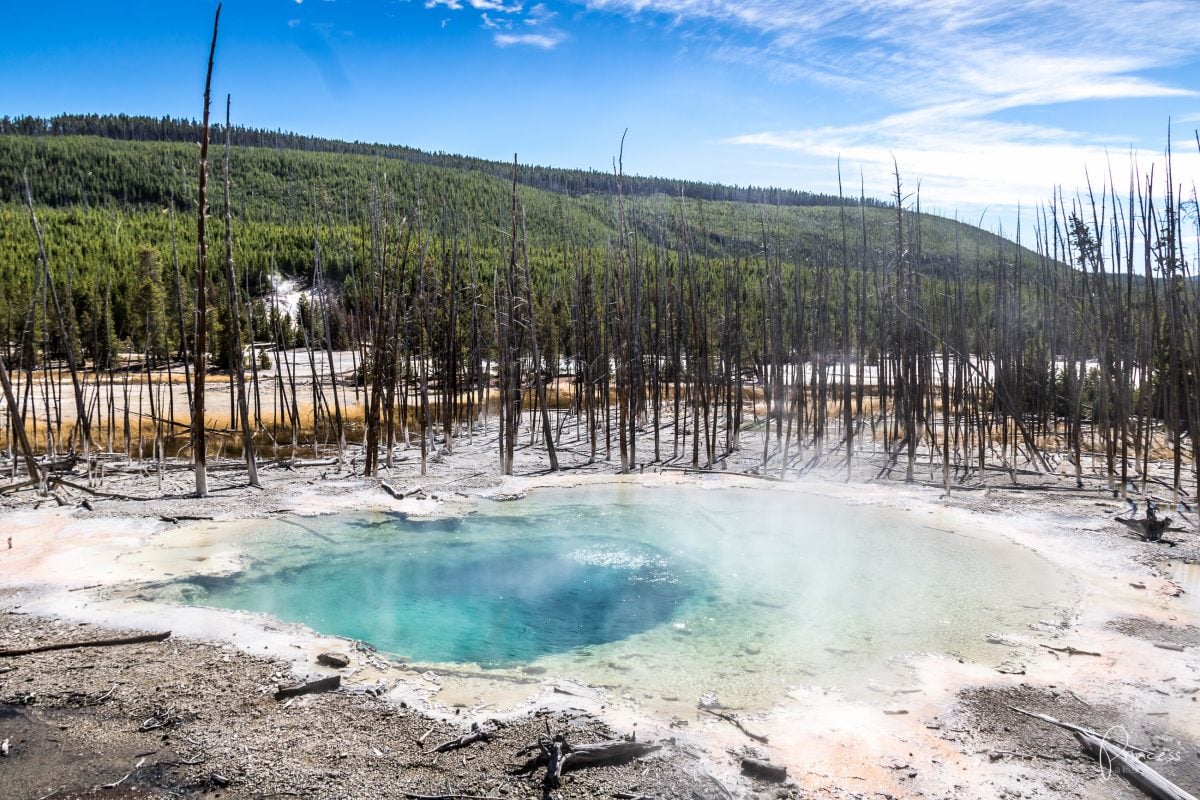 Roadtrip UPDATE: Yellowstone National Park und Las Vegas (mit Video)