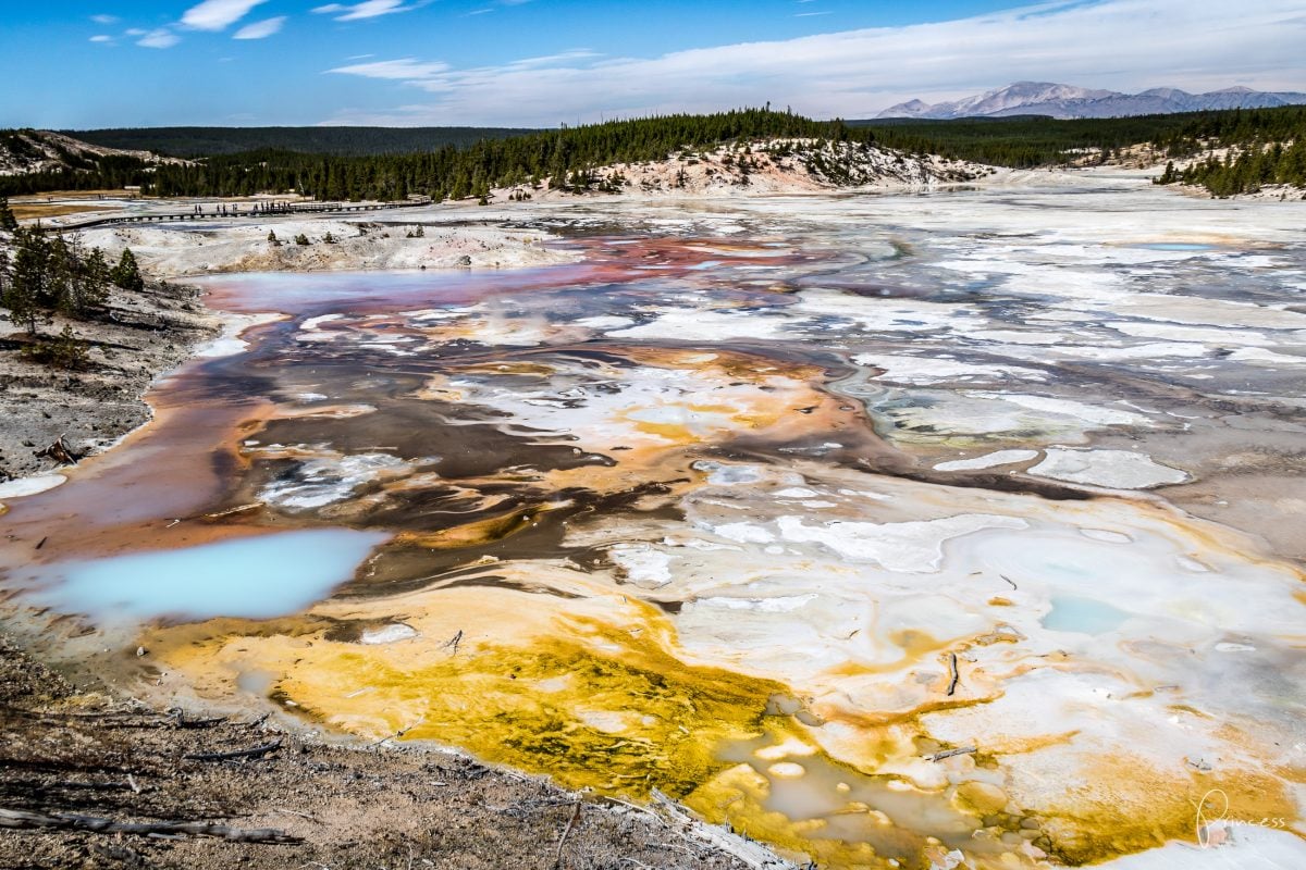 Roadtrip UPDATE: Yellowstone National Park und Las Vegas (mit Video)