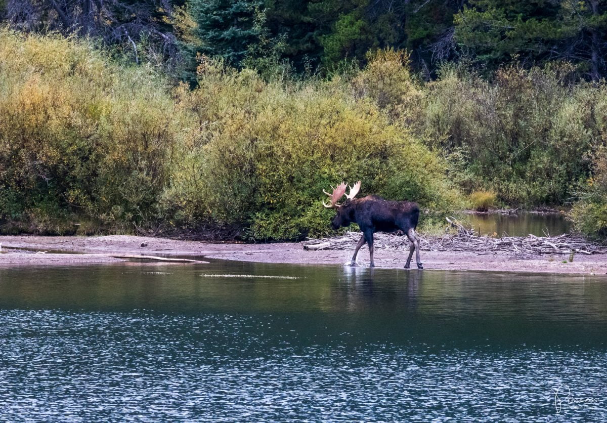 Roadtrip UPDATE: Calgary und Glacier National Park (mit Video)