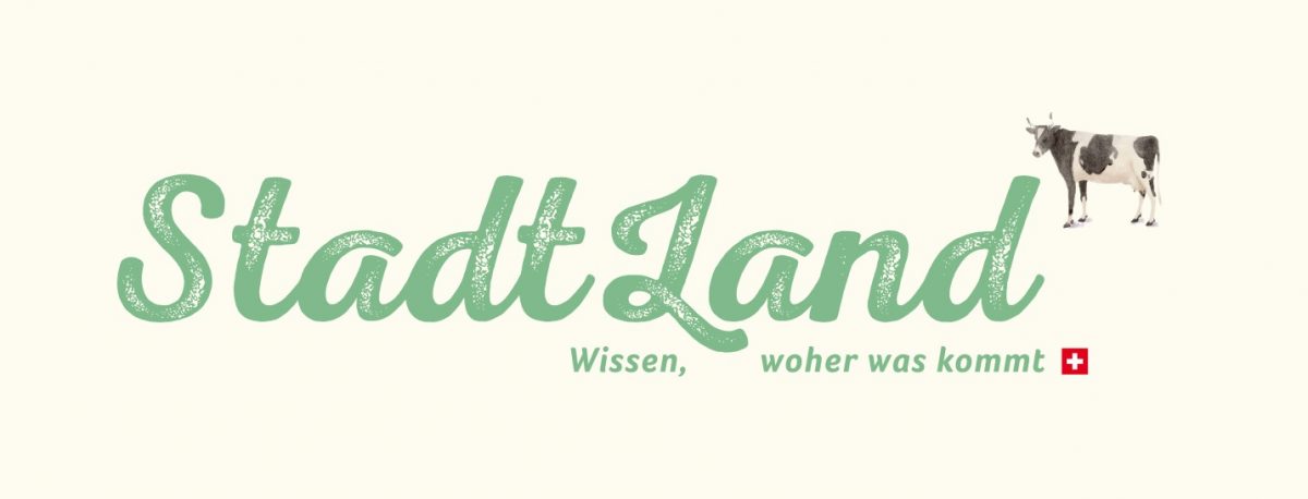 UPDATE: Ein neuer Blog und wer zum Himmel ist Lucy?