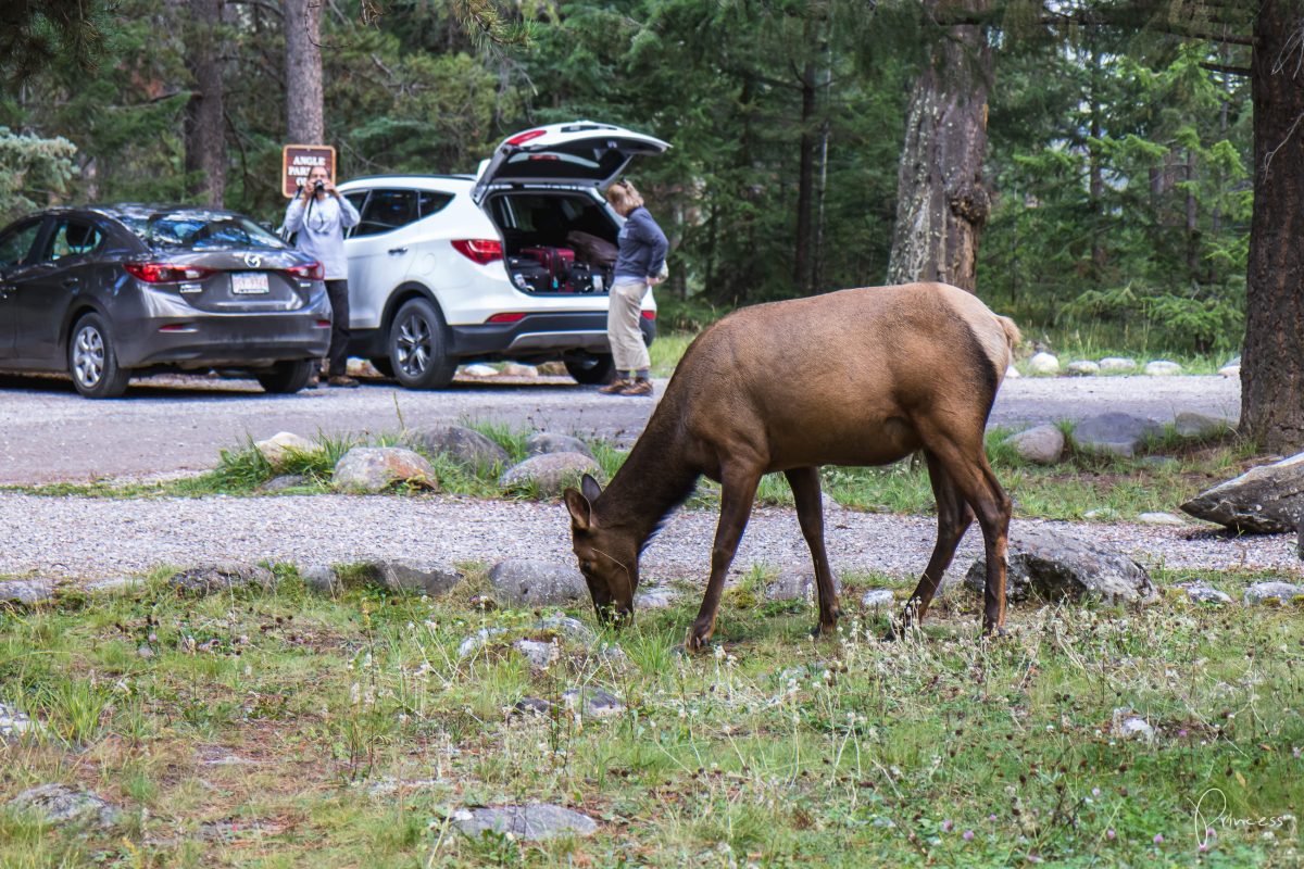 24 Tipps für deinen Roadtrip in Nord-Amerika: USA & Kanada