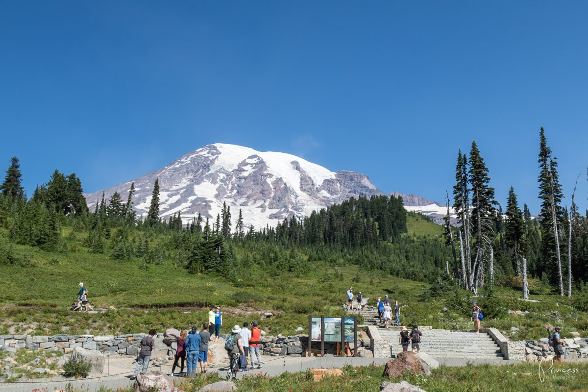 24 Tipps für deinen Roadtrip in Nord-Amerika: USA & Kanada