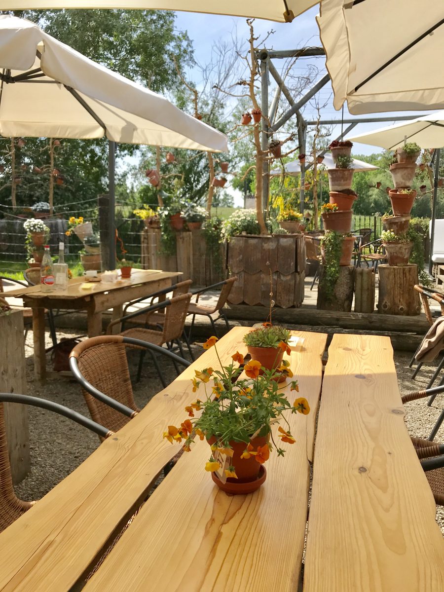UPDATE: Girlstrip, Projekt Instagram und Achtung Überraschung