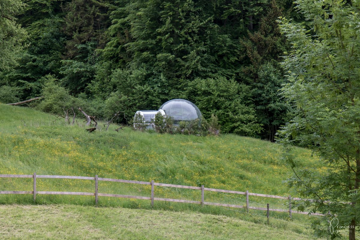 Bubble Hotel, Thurgau: eine Nacht unter Sternen
