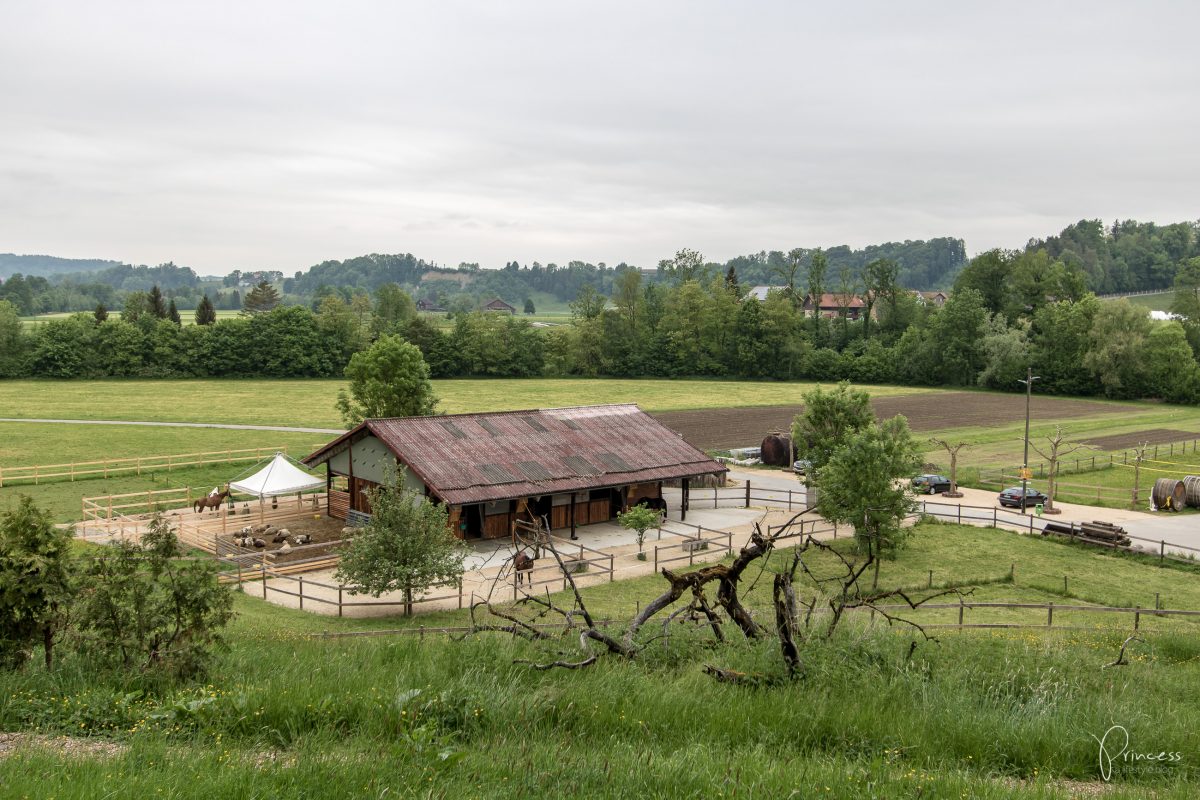 Bubble Hotel, Thurgau: eine Nacht unter Sternen