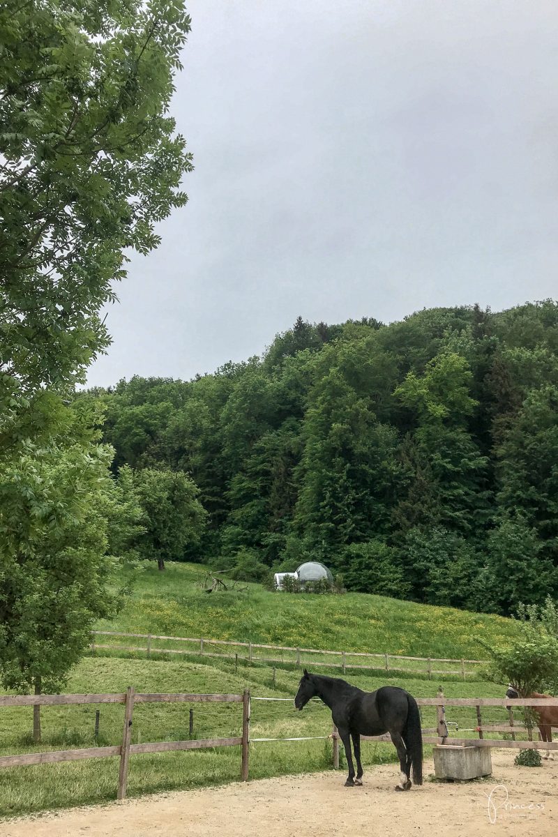 Bubble Hotel, Thurgau: eine Nacht unter Sternen