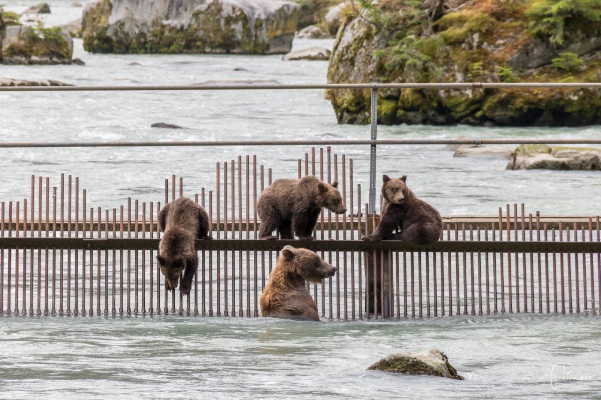 6 Highlights & Learnings aus 2018