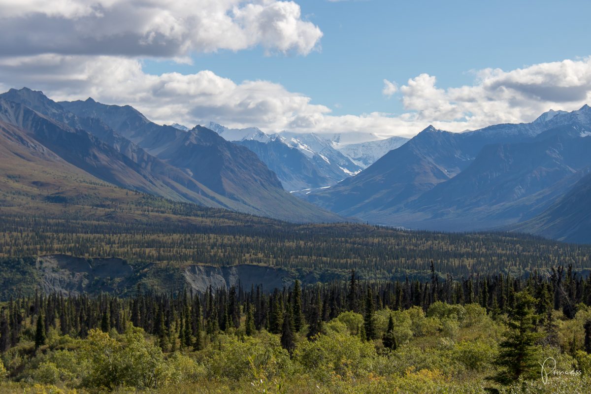 Update: mein Date mit Nordamerikas höchstem Berg (Alaska Teil 1)