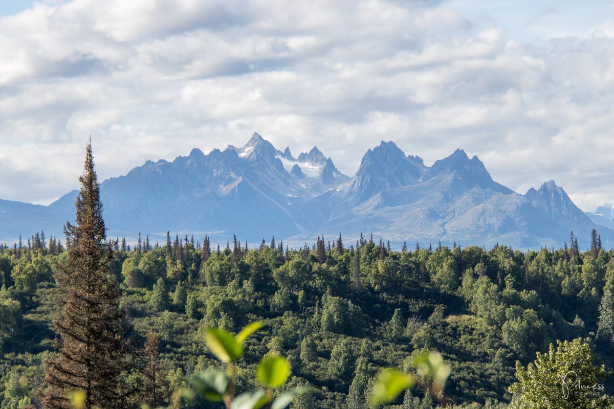 Update: ein Besuch in Northpole und der Denali National Park (Alaska Teil 2)