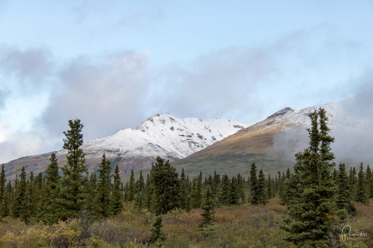 Update: ein Besuch in Northpole und der Denali National Park (Alaska Teil 2)
