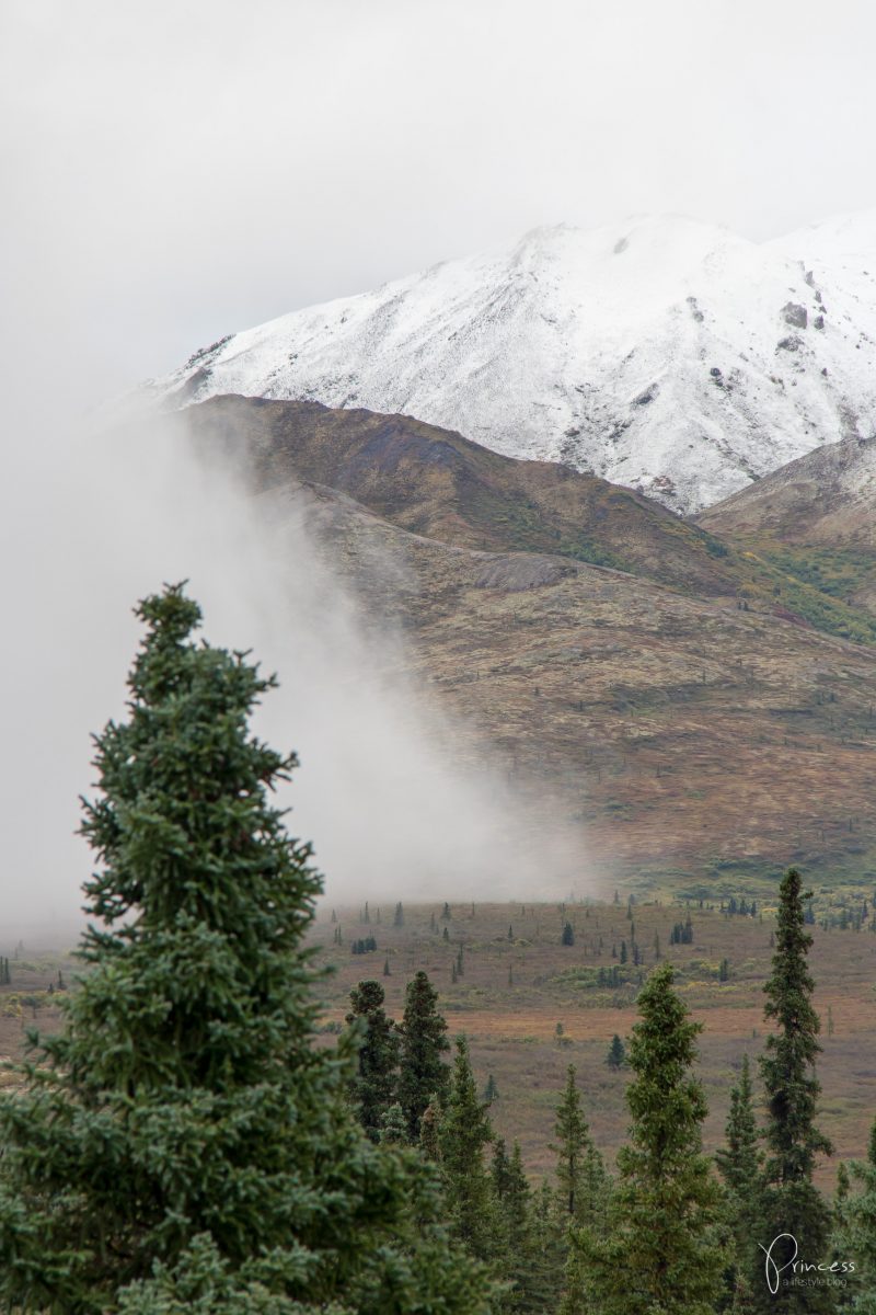 Update: ein Besuch in Northpole und der Denali National Park (Alaska Teil 2)