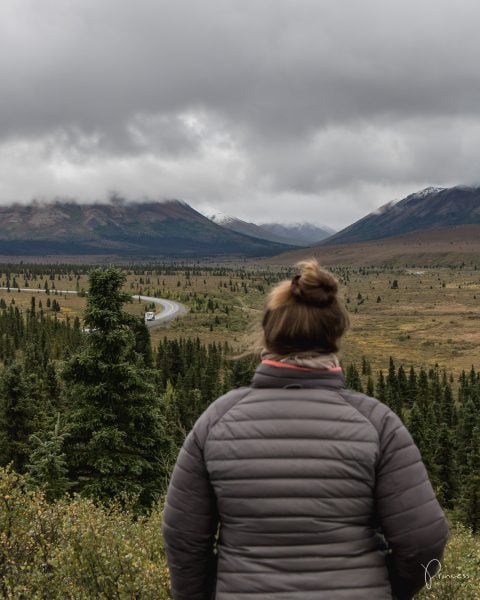 Update: ein Besuch in Northpole und der Denali National Park (Alaska Teil 2)
