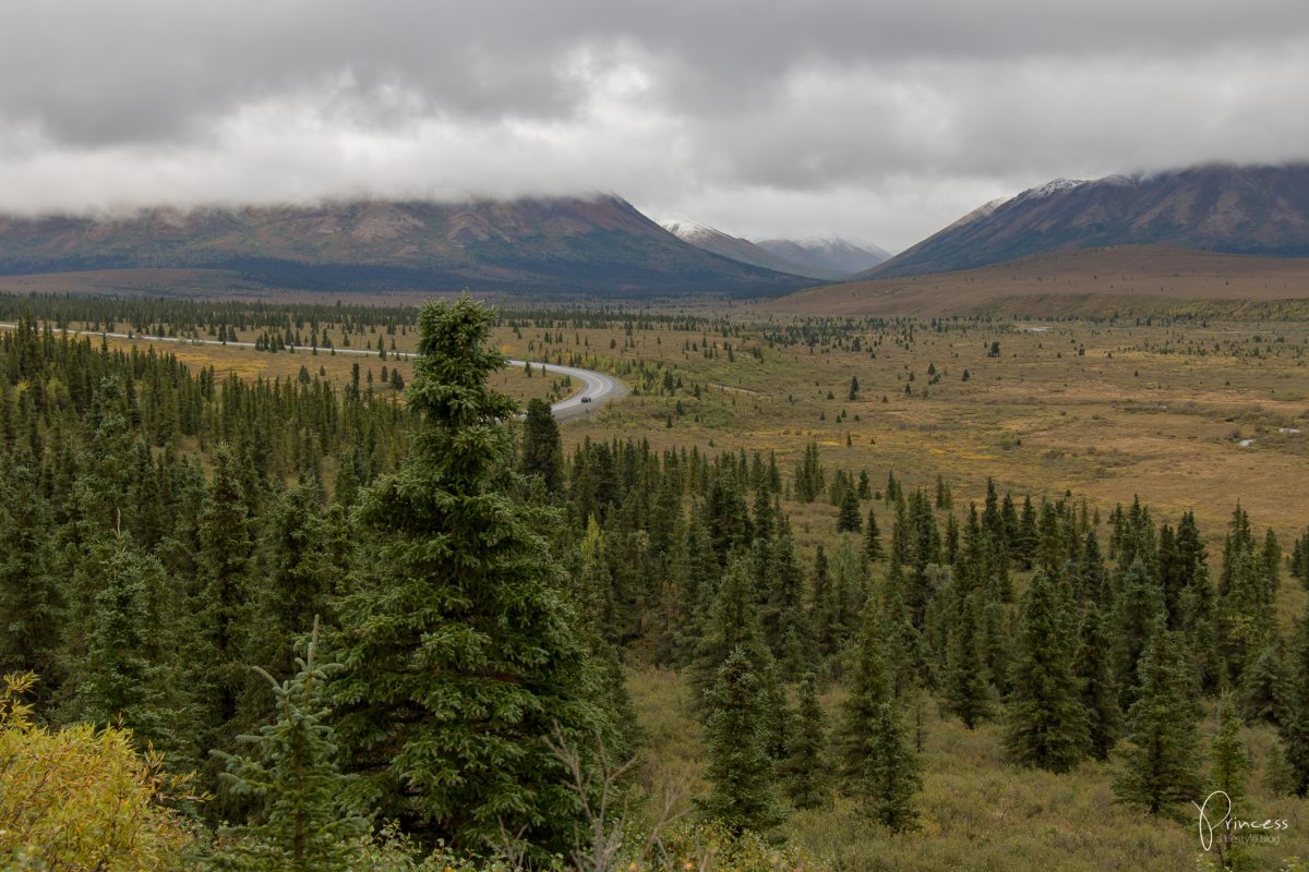 Update: ein Besuch in Northpole und der Denali National Park (Alaska Teil 2)