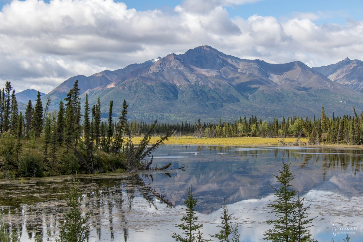 Update: mein Date mit Nordamerikas höchstem Berg (Alaska Teil 1)