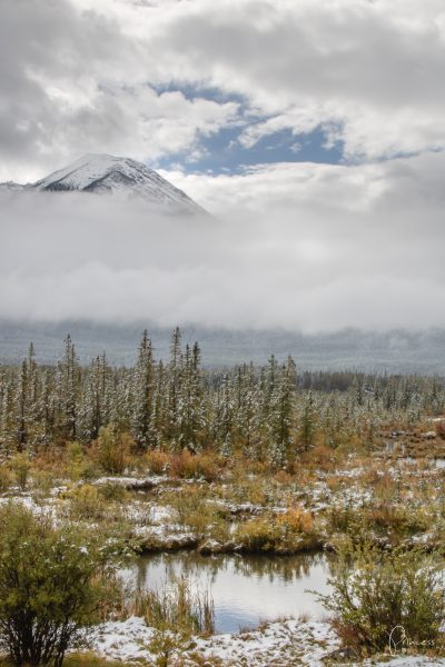 Banff und Yoho Nationalpark: 9 Orte die du besuchen solltest