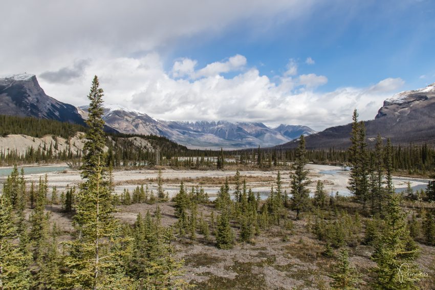 Banff und Yoho Nationalpark: 9 Orte die du besuchen solltest