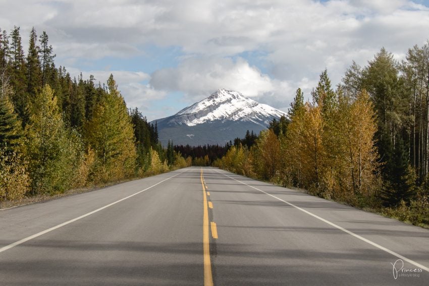 Banff und Yoho Nationalpark: 9 Orte die du besuchen solltest