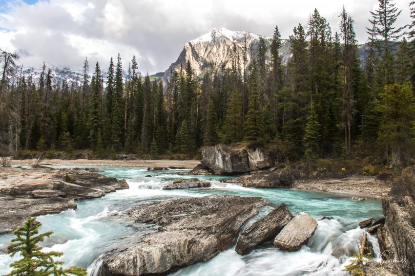 Banff und Yoho Nationalpark: 9 Orte die du besuchen solltest