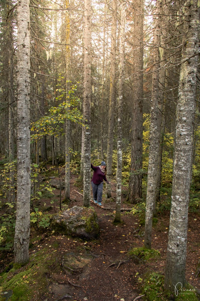 Banff und Yoho Nationalpark: 9 Orte die du besuchen solltest