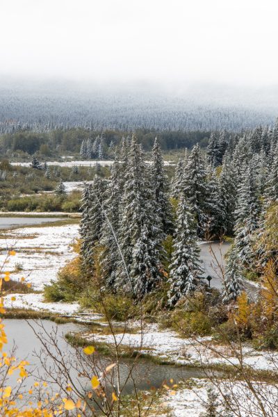 Banff und Yoho Nationalpark: 9 Orte die du besuchen solltest