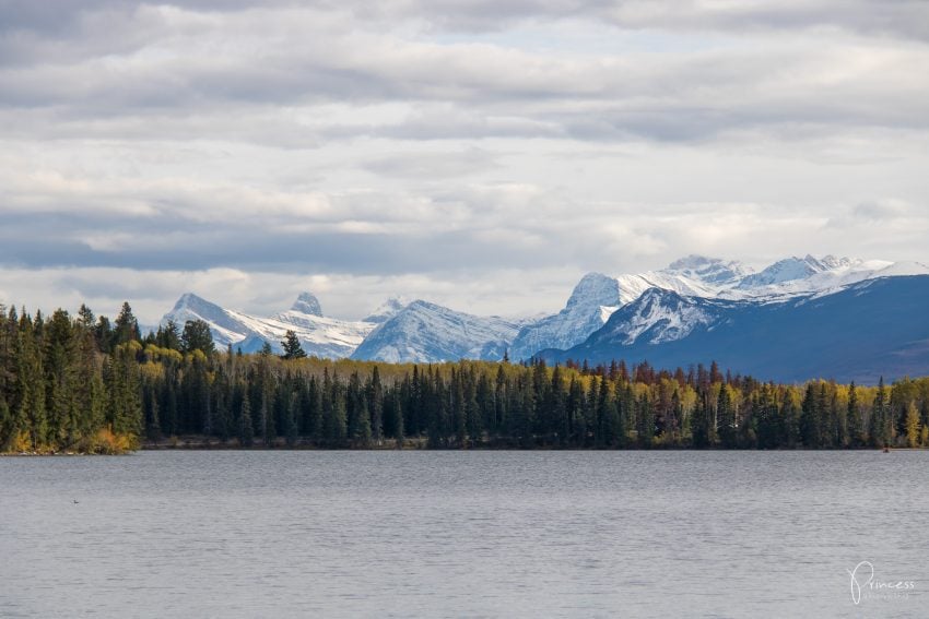 Jasper Nationalpark: 12 Orte die du besuchen solltest