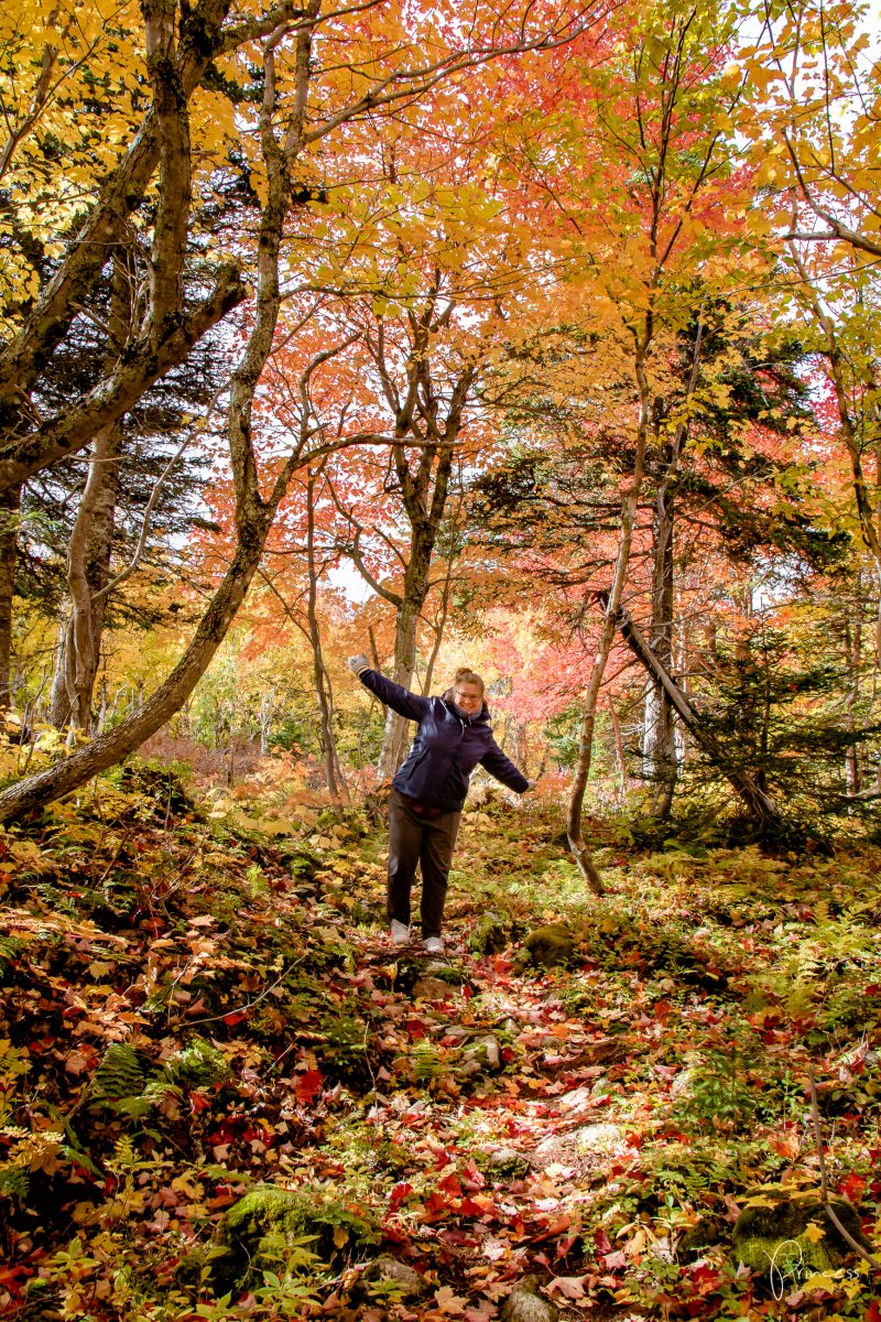 Cape Breton Island: Roadtrip entlang dem Cabot Trail