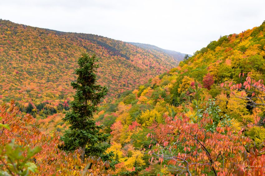 Cape Breton Island: Roadtrip entlang dem Cabot Trail