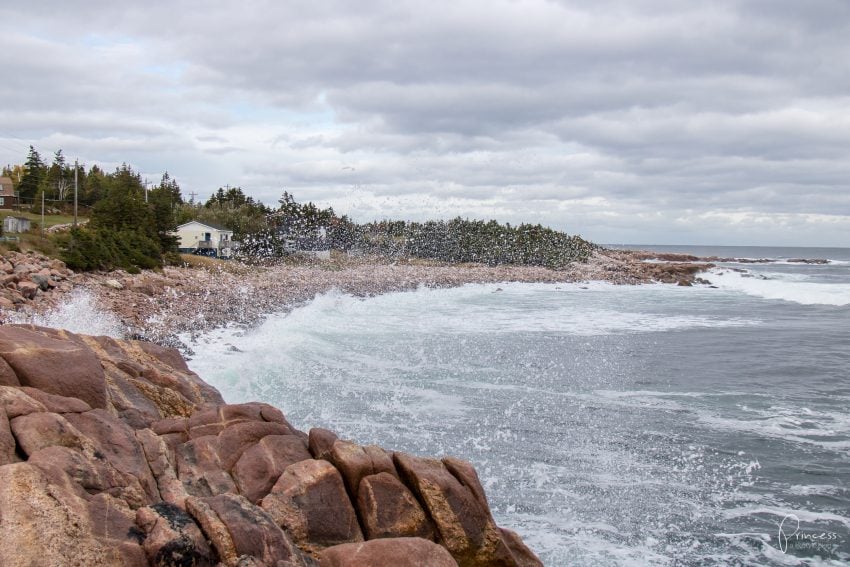 Cape Breton Island: Roadtrip entlang dem Cabot Trail