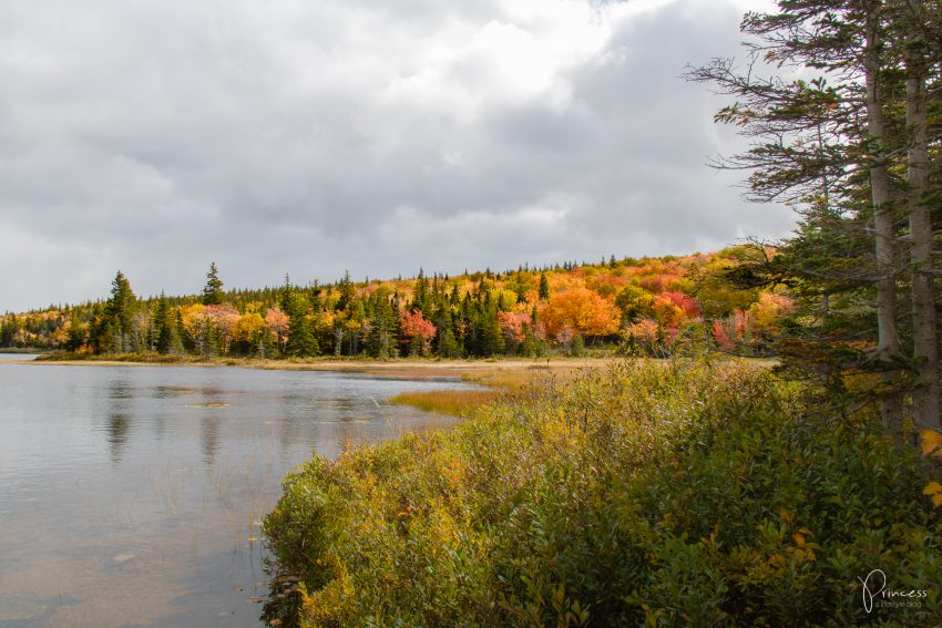 Cape Breton Island: Roadtrip entlang dem Cabot Trail