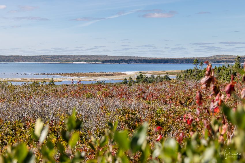 Indian Summer in Kanada: Tipps für deine Rundreise an der Ostküste