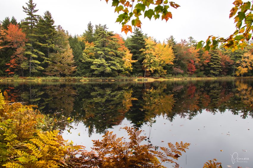 Indian Summer in Kanada: Tipps für deine Rundreise an der Ostküste