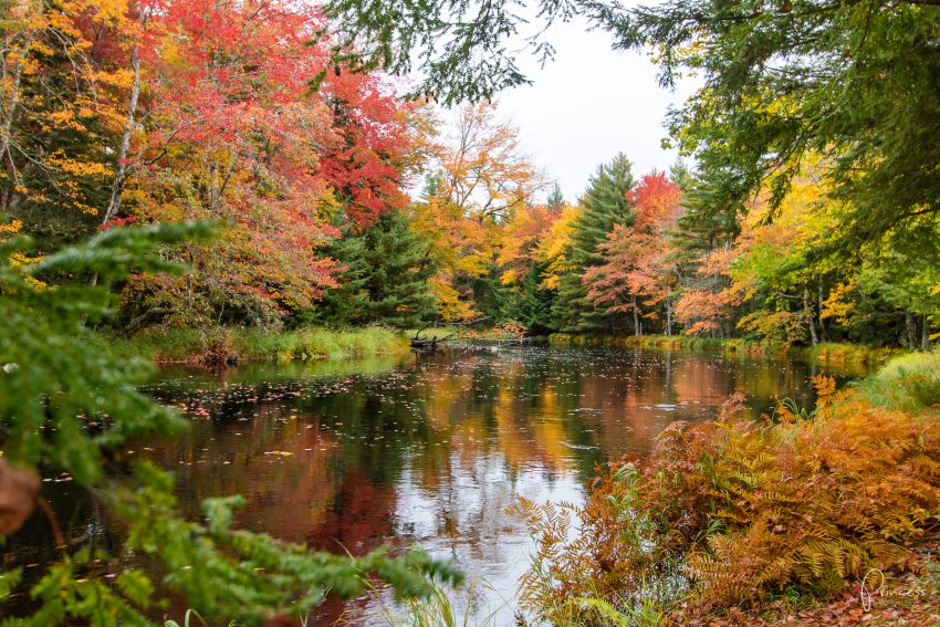 Indian Summer in Kanada: Tipps für deine Rundreise an der Ostküste