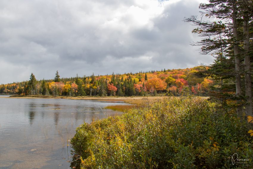 Indian Summer in Kanada: Tipps für deine Rundreise an der Ostküste