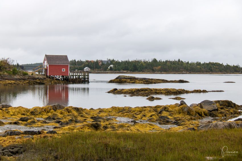 Indian Summer in Kanada: Tipps für deine Rundreise an der Ostküste