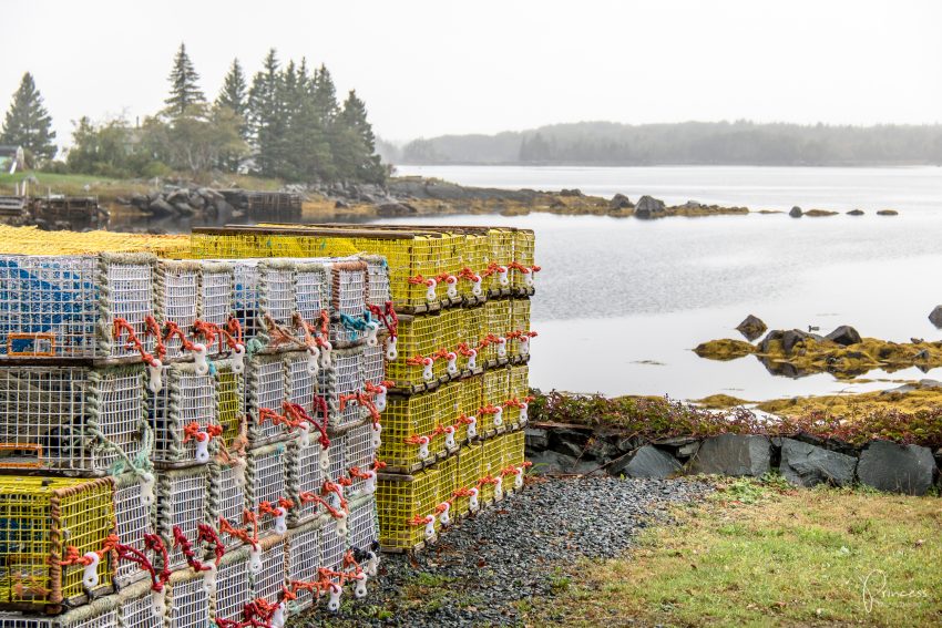 Indian Summer in Kanada: Tipps für deine Rundreise an der Ostküste