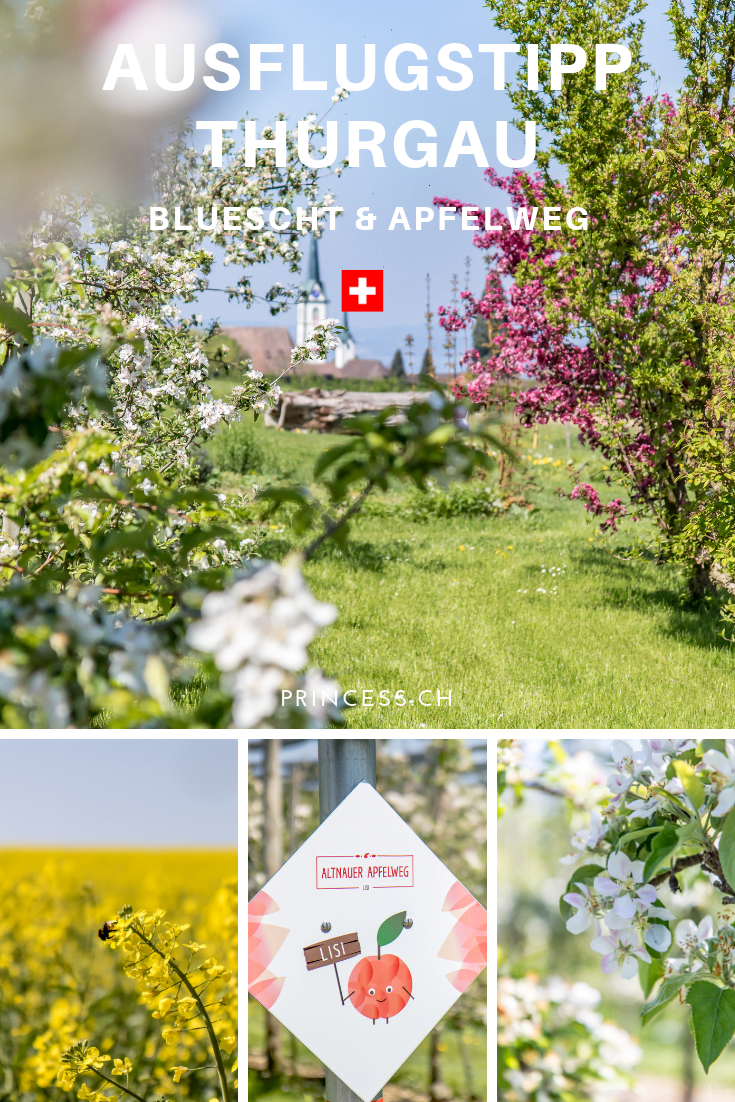 Ausflugstipp: Bluescht-Fäscht & Wandern im Thurgau