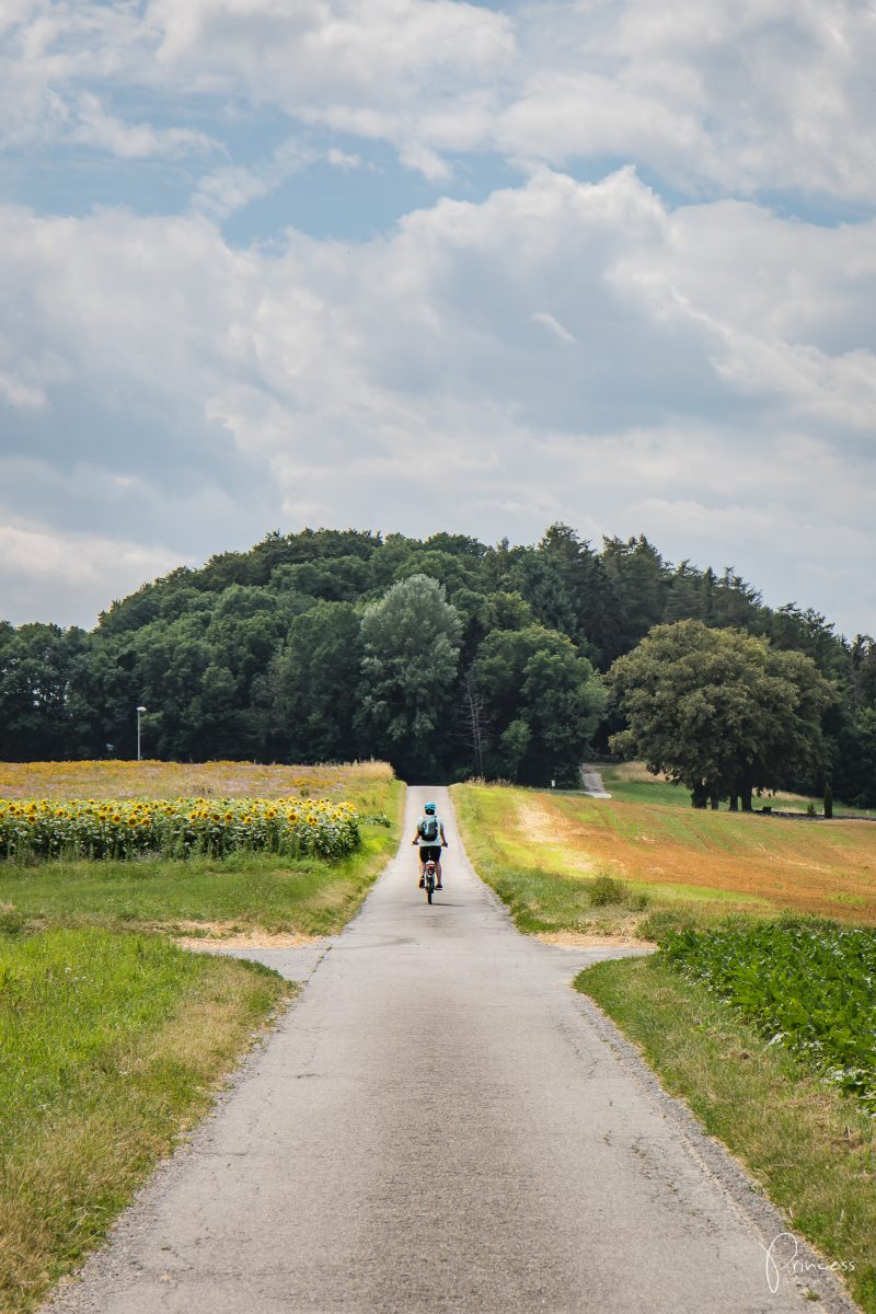 Ausflugstipp Murten: Um den Murtensee mit dem E-Bike