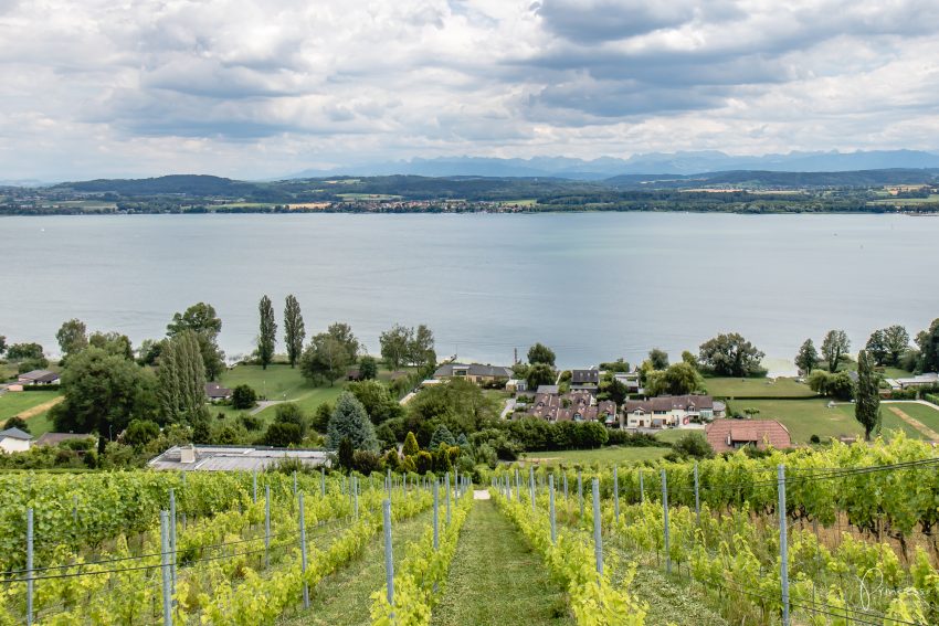 Ausflugstipp Murten: Um den Murtensee mit dem E-Bike