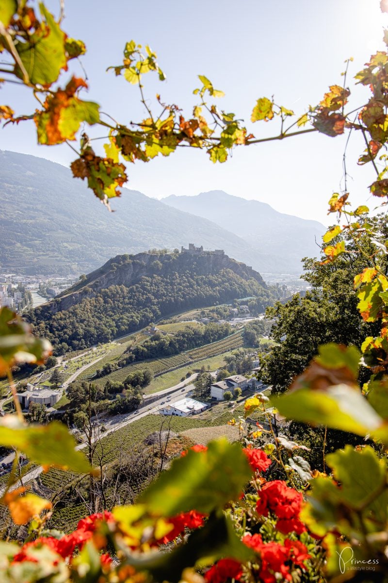 Wallis: 15 Tipps für Wein & Food-Liebhaber