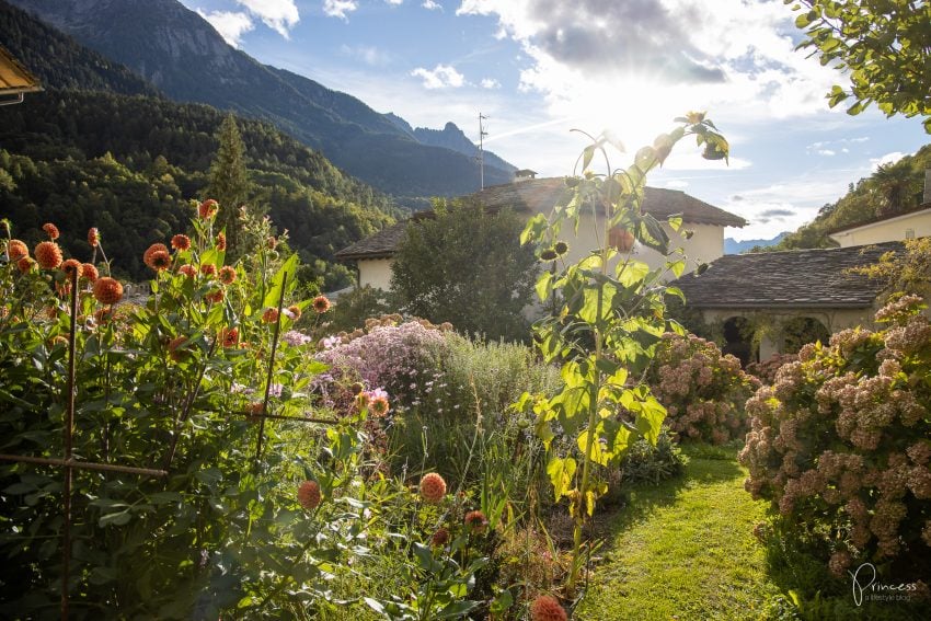 Kastanienkuchen aus dem Bergell und ein Reisetipp