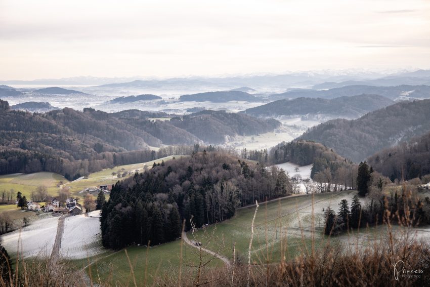 Ruine Schauenberg - Ausflugstipp bei Winterthur